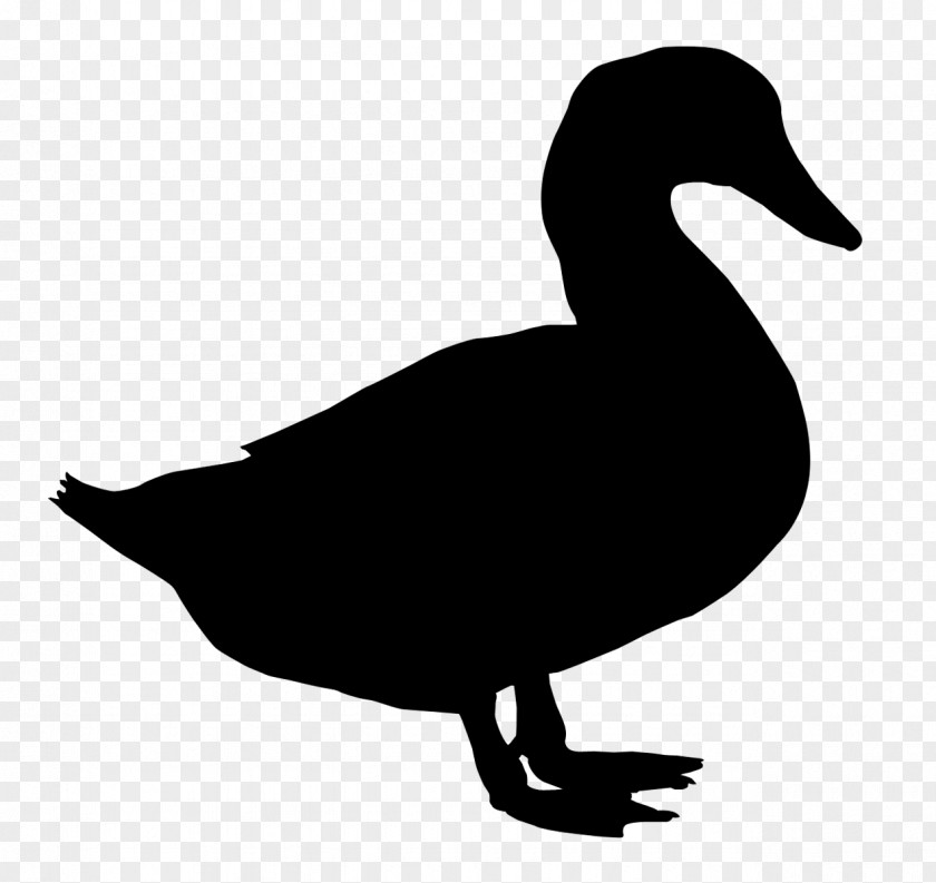 Duck Vector Graphics Royalty-free Clip Art Stock Photography PNG