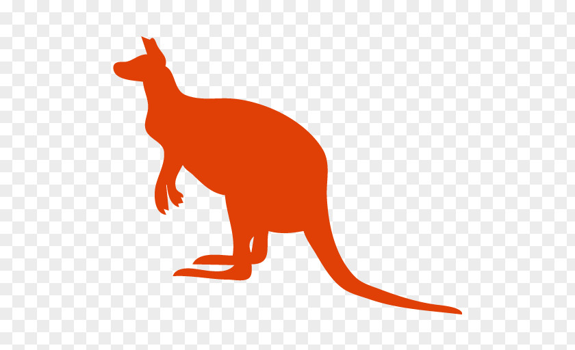 Kangaroo Macropodidae Silhouette Clip Art PNG