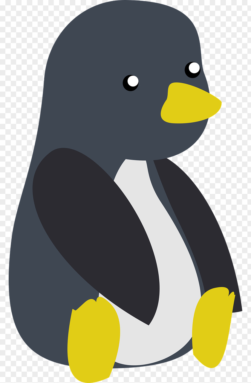 Penguin T-shirt Duck Designer Clip Art PNG