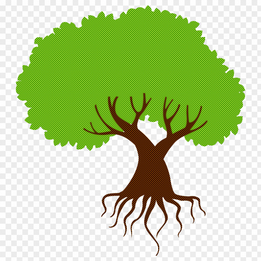 Branch Grass Green Tree Root Leaf Plant PNG
