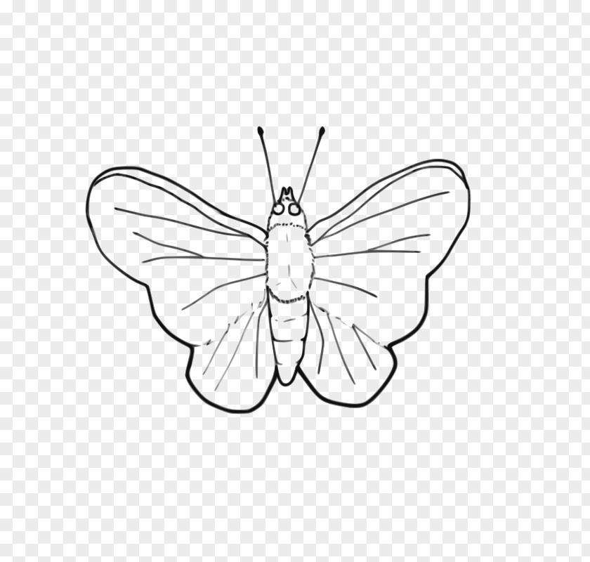 Butterfly Pictures Black And White Line Art Clip PNG