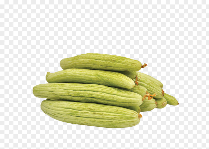 Cucumber Armenian Vegetarian Cuisine Pickled Cucurbita Pepo Var. Cylindrica PNG