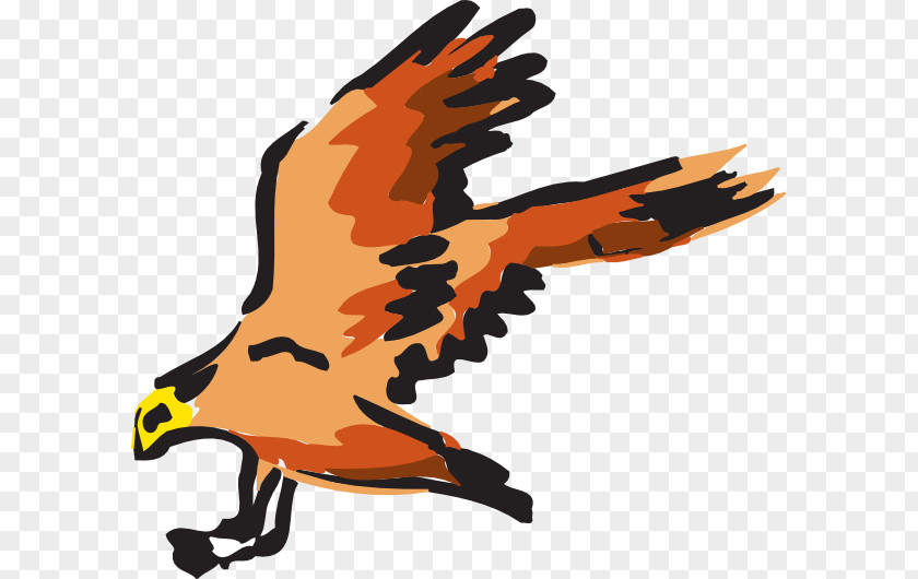 Flying Hawk Cliparts Bird Bald Eagle Red Clip Art PNG