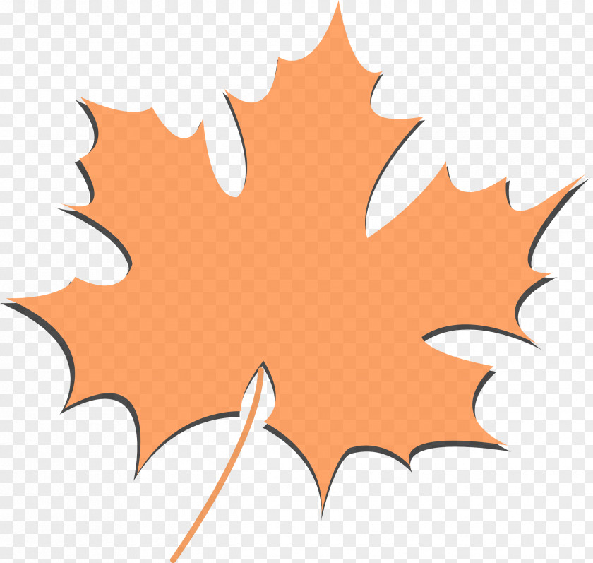 Plant Woody Maple Leaf PNG
