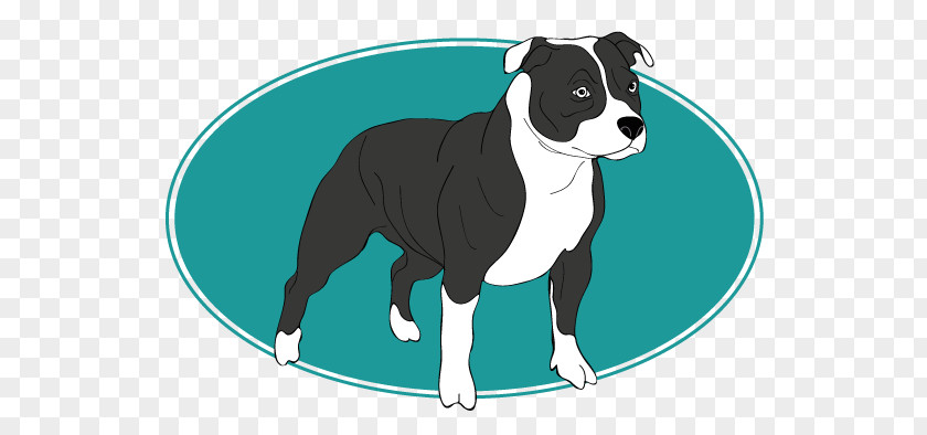 Staffordshire Bull Terrier Boston Puppy American PNG