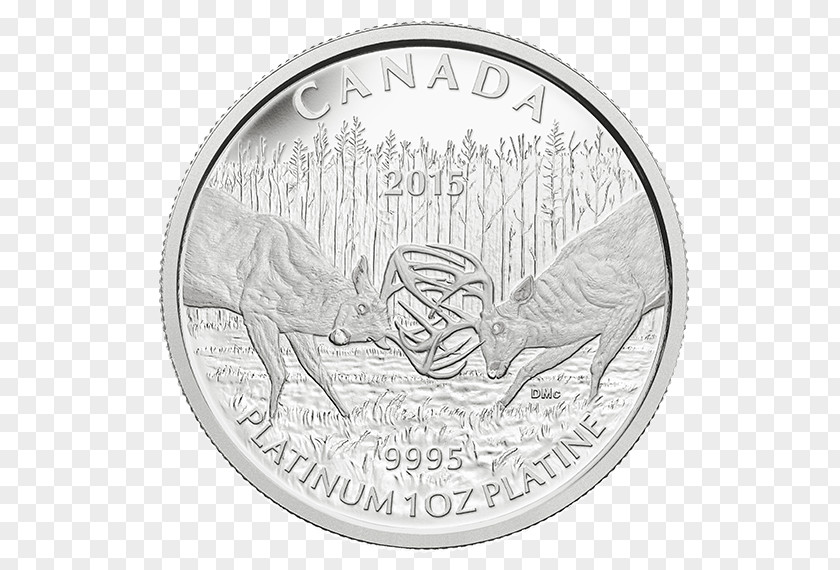 Coin Platinum Canada Silver PNG