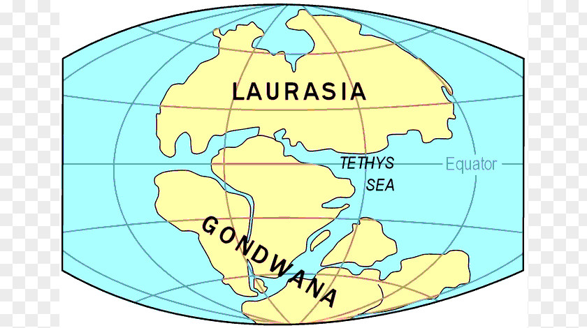 Marine Museum Laurasia Gondwana Supercontinent Pangaea Paleozoic PNG