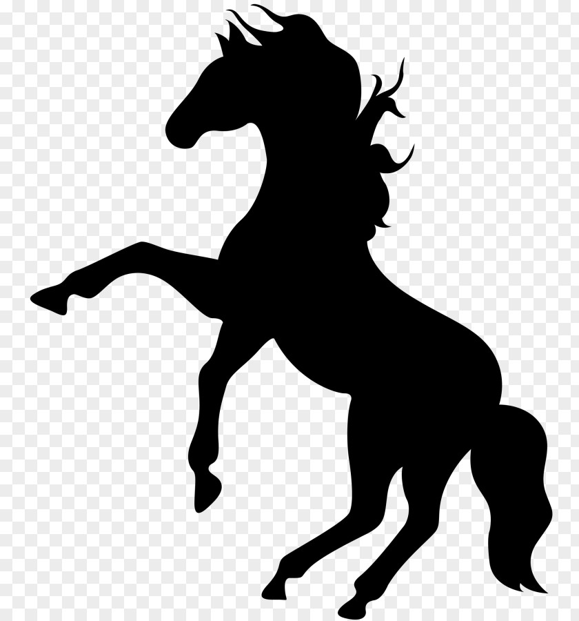 Mustang Stallion Rearing Clip Art PNG