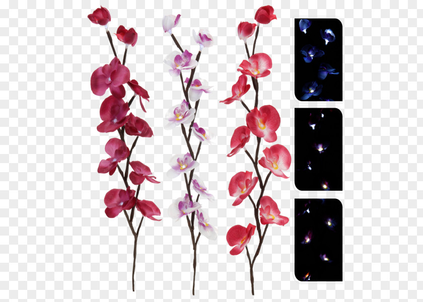 Tree Light-emitting Diode Branch Lighting Cut Flowers PNG