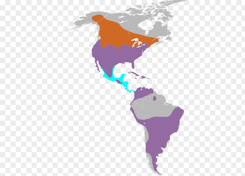 United States South America World Map PNG