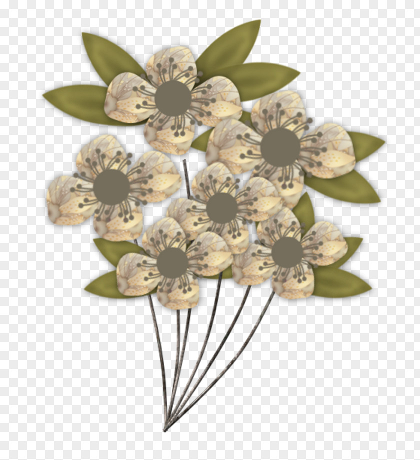 1 Vs Flower Bayan Mod Blume PNG