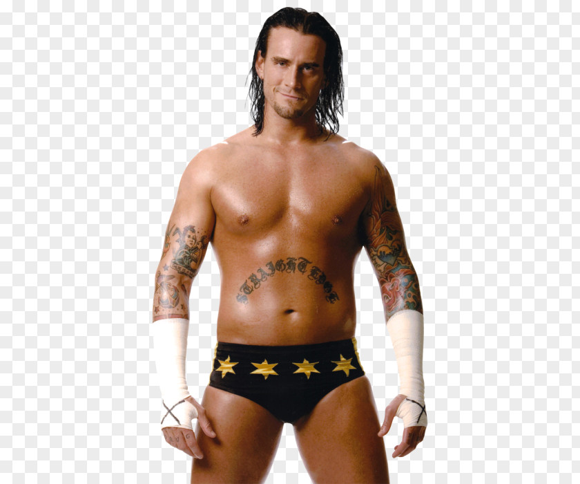 CM Punk ECW WWE Championship Ultimate Fighting World Heavyweight PNG Championship, cm punk clipart PNG