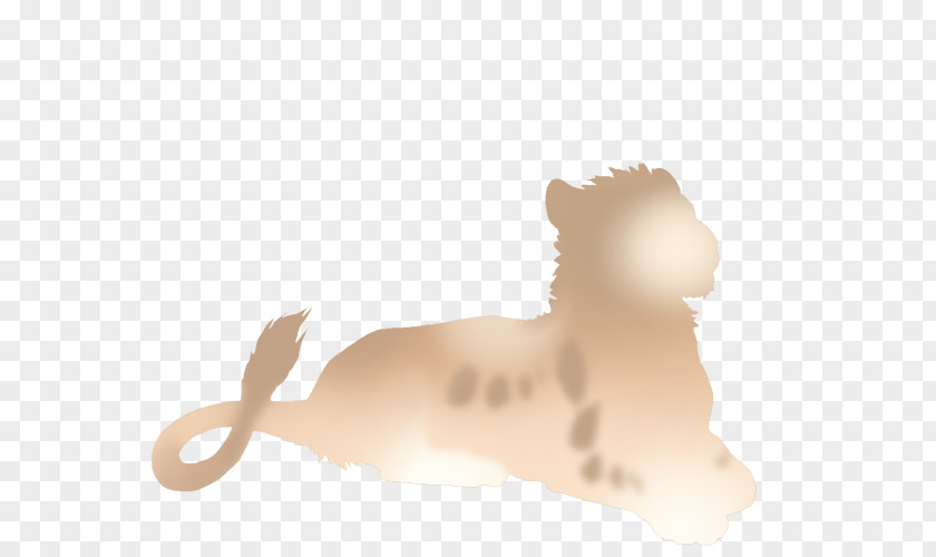Ethereal Cat Dog Mammal Lion Carnivora PNG