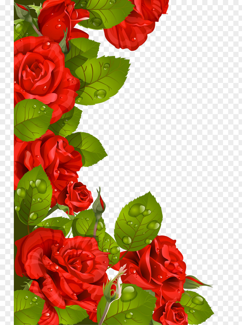 Fresh Rose Flower Valentines Day Greeting Card Mothers Clip Art PNG
