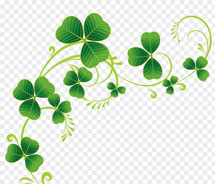 Shamrocks Pictures Ireland Saint Patrick's Day March 17 Shamrock Four-leaf Clover PNG