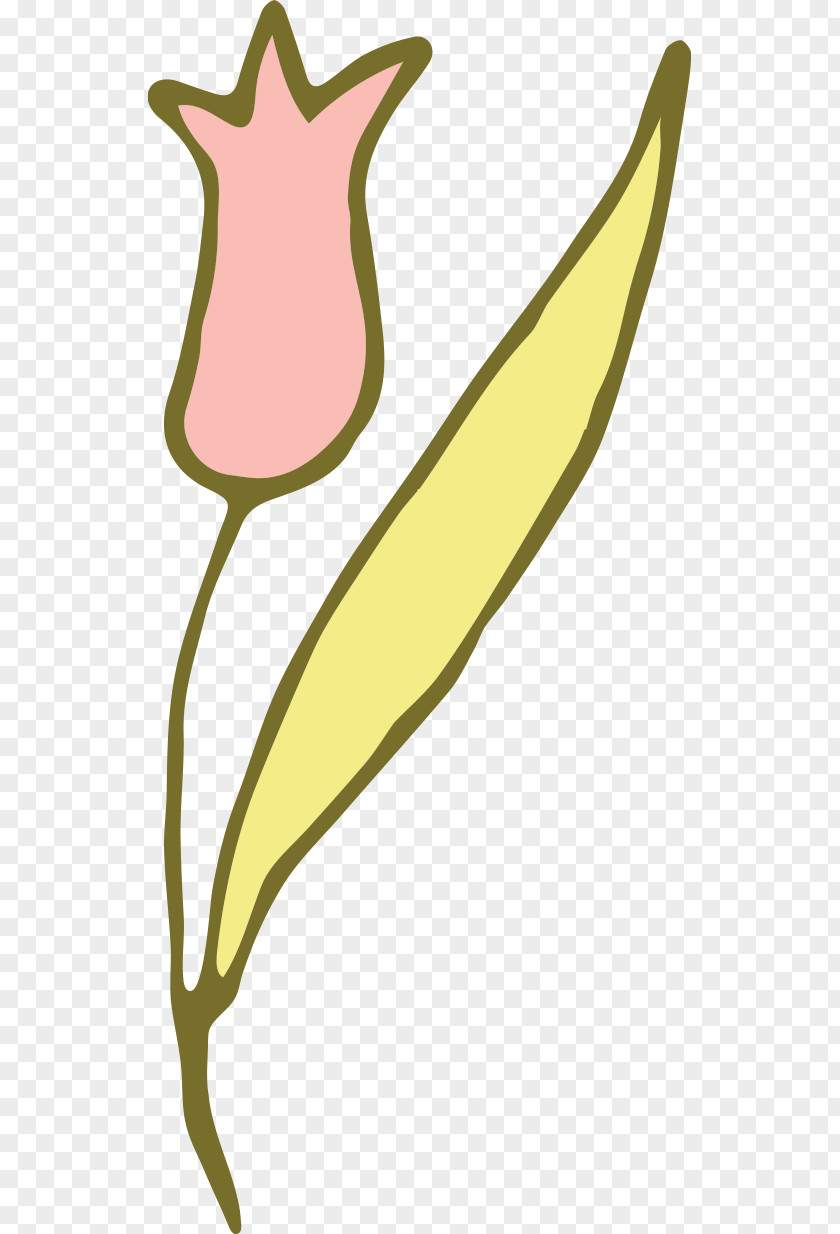 Tulip Clip Art PNG