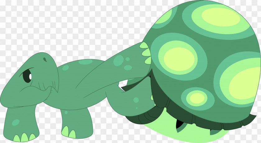 Turtle Tortoise Frog Clip Art PNG