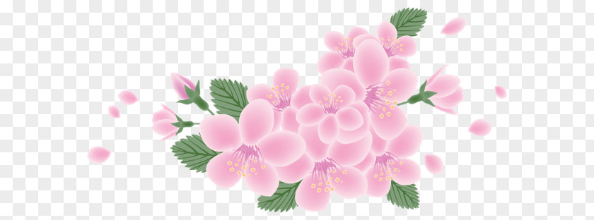 Flower Floral Design Petal IFolder Cerasus PNG