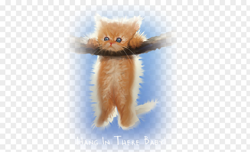 Hang In There There, Baby Cat Kitten Poster PNG