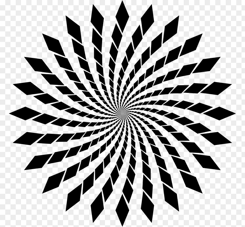Optical Illusion Fraser Spiral Coloring Book PNG