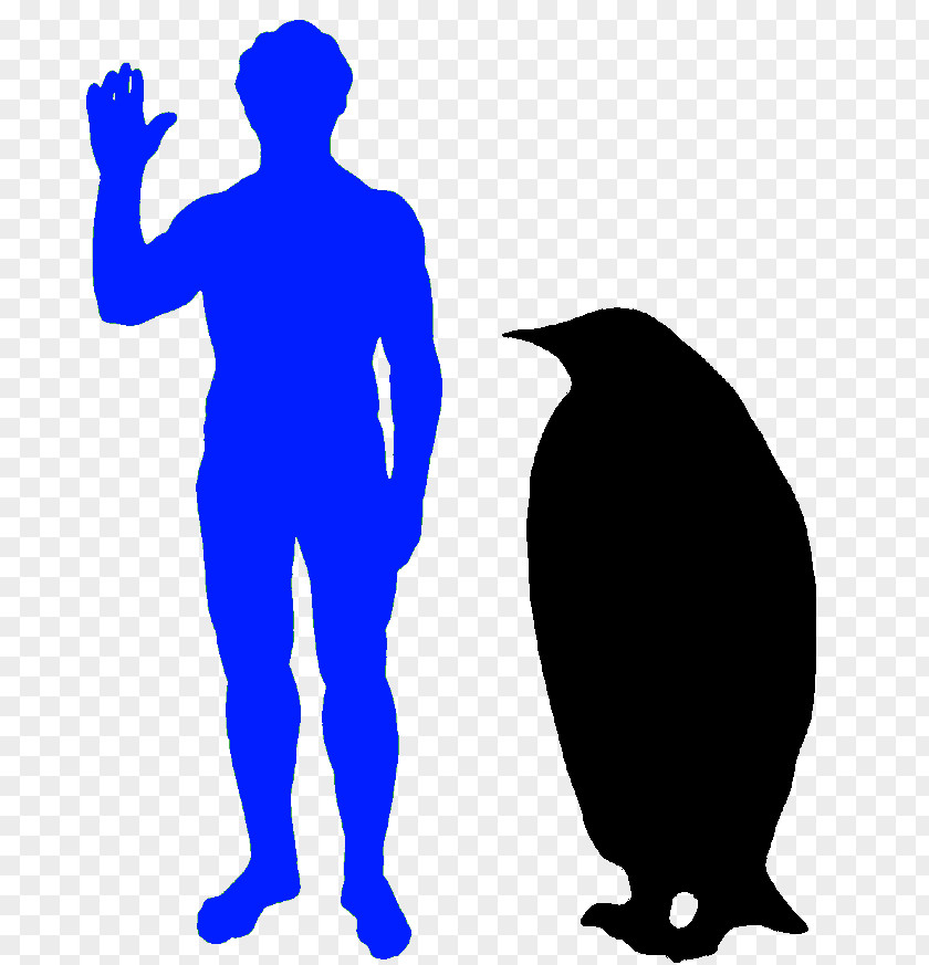 Squid Fish Ornimegalonyx Owl Bird Ichthyornis Dinosaur PNG