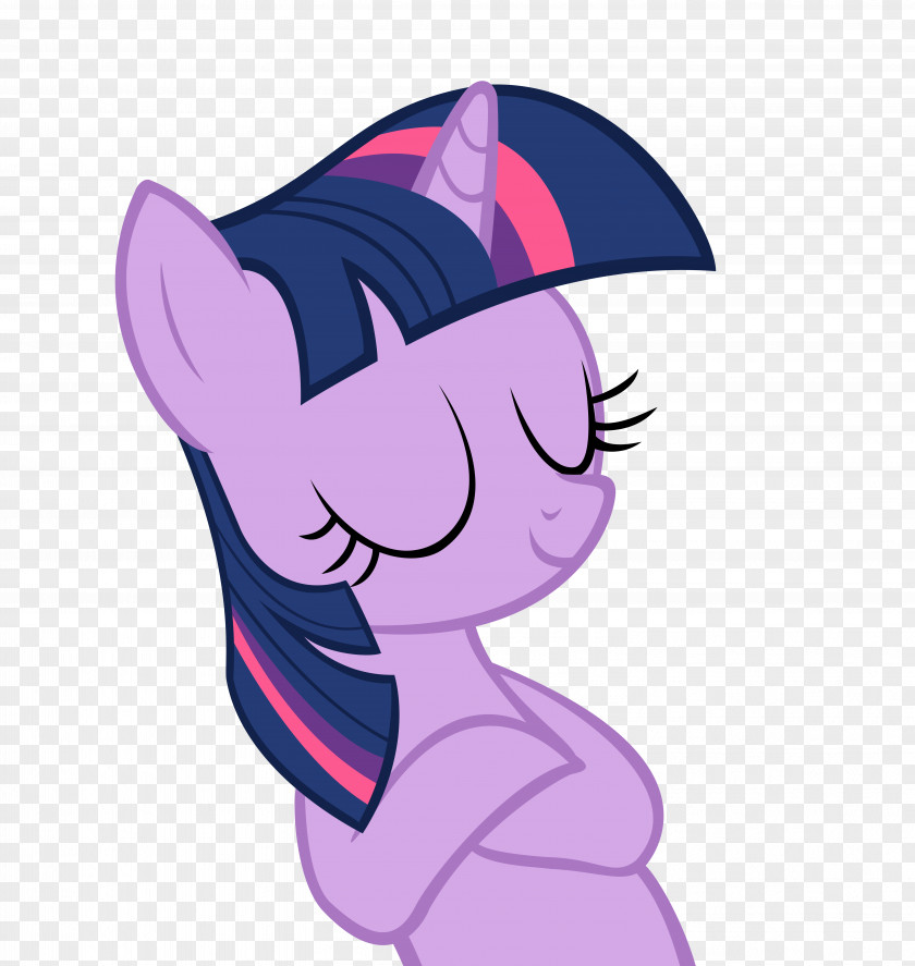 Twilight Sparkle Pony Rarity Rainbow Dash Scootaloo PNG