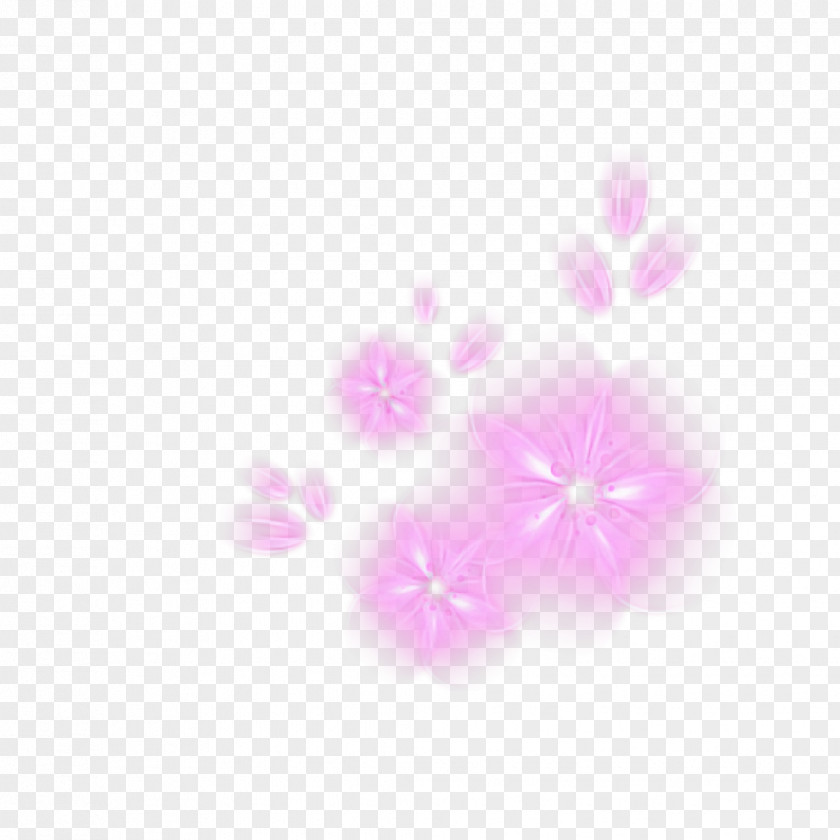 Cherry Blossom PNG