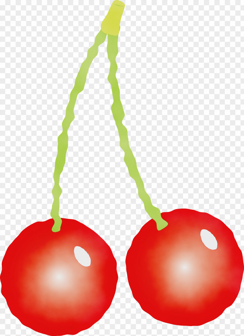 Cherry Fruit Plant Drupe PNG