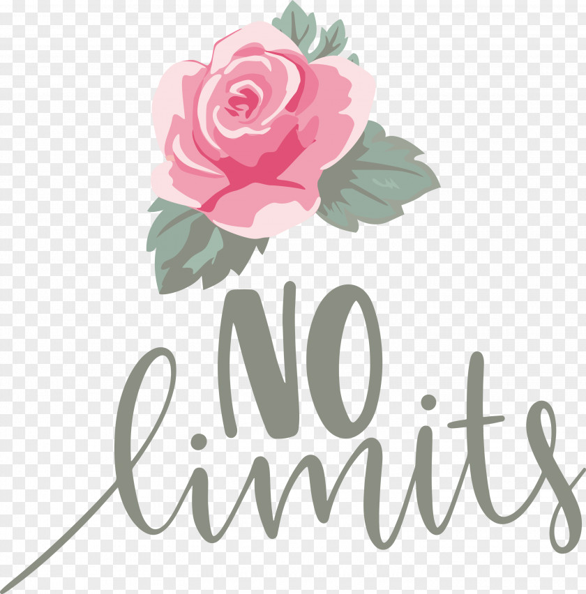 No Limits Dream Future PNG