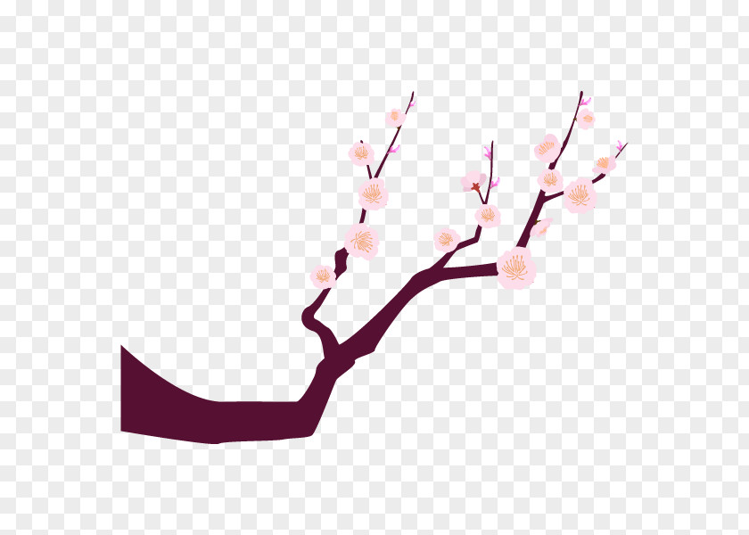 Plum Blossom Branch Illustration Illustrator Tree PNG