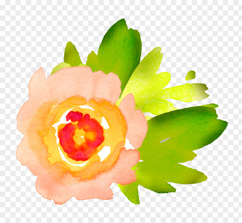 Watercolor Flower Watercolour Flowers Painting Clip Art PNG