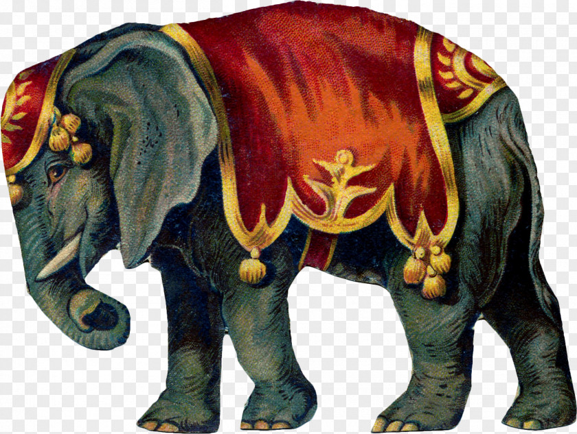 Circus Elephant Clip Art PNG