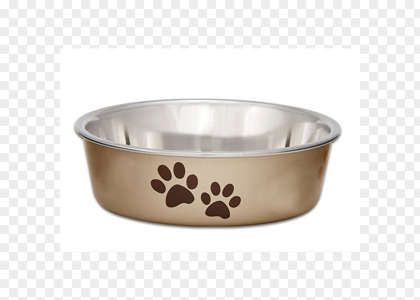 Dog Bowl Pet Veterinarian Puppy PNG
