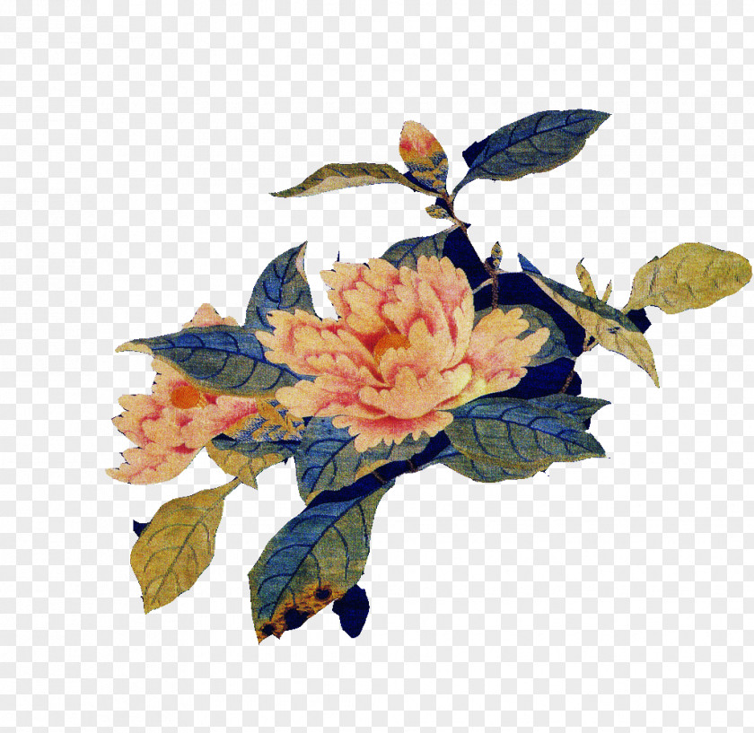 Embroidery Peony Download Clip Art PNG