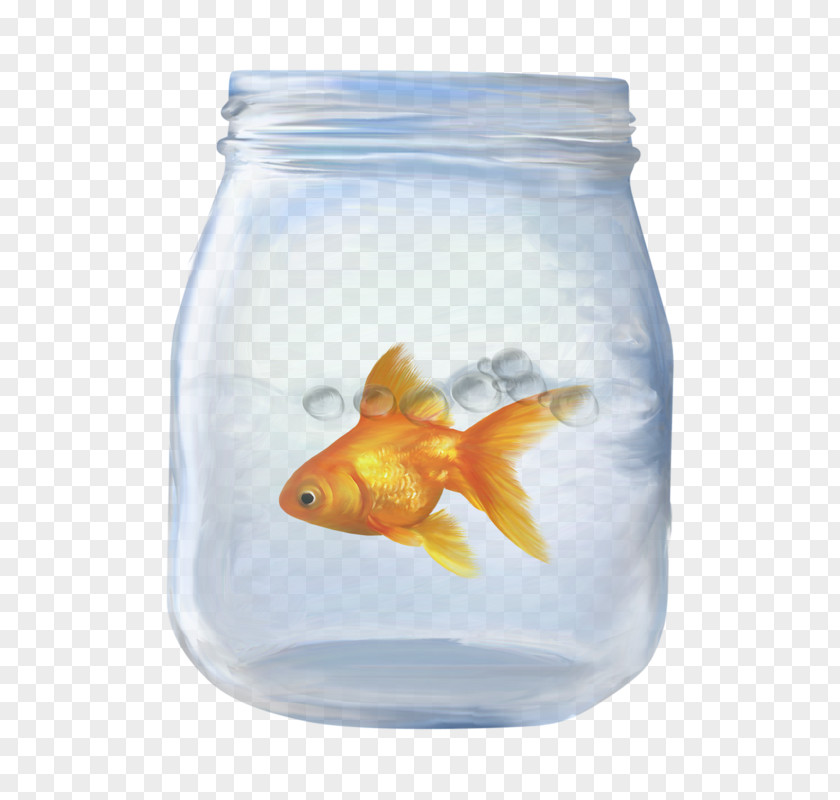 Summer Fair Balloon Goldfish Water Download Image Cartoon PNG