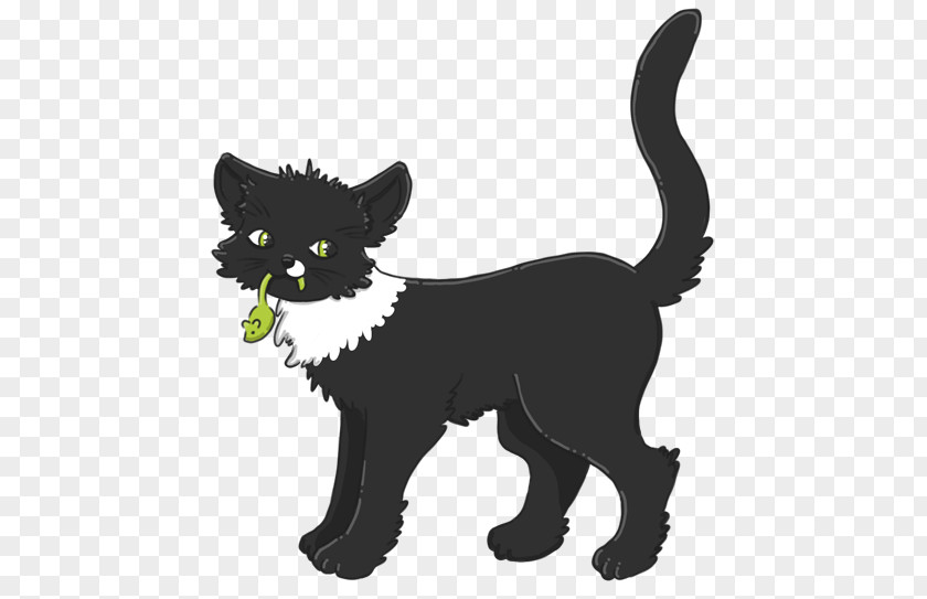 Top View Orange Juice Black Cat Kitten Whiskers Domestic Short-haired Wildcat PNG