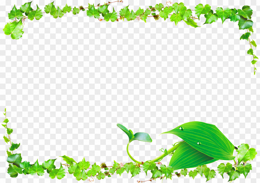 Vines Border Leaf Green Vine PNG