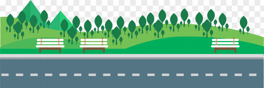 Woodland Road Asphalt PNG