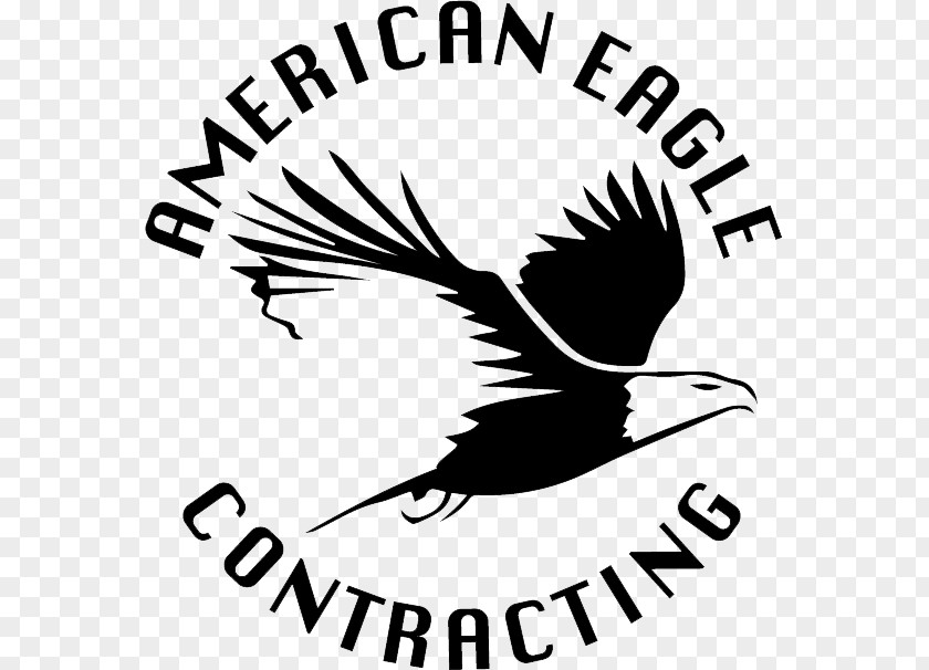 Aeo Watercolor Clip Art Beak Logo Brand General Contractor PNG