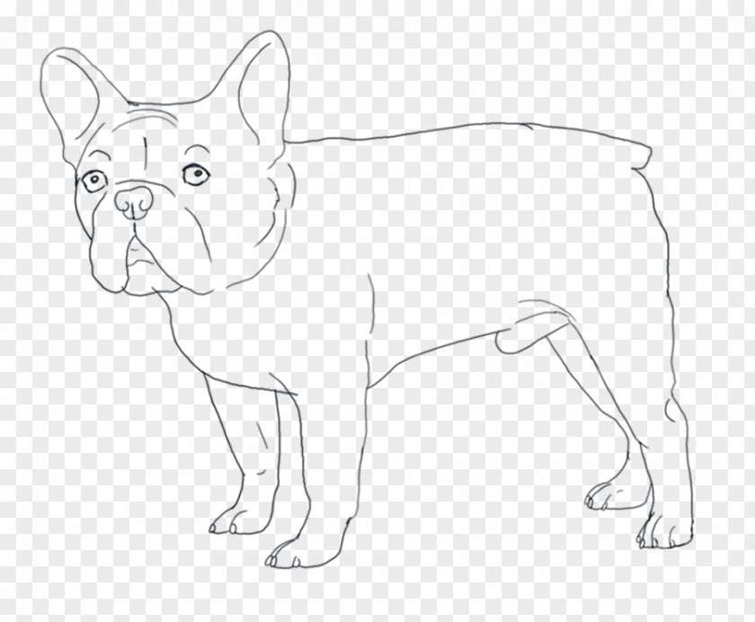 Bulldog Drawing French American Pit Bull Boston Terrier PNG