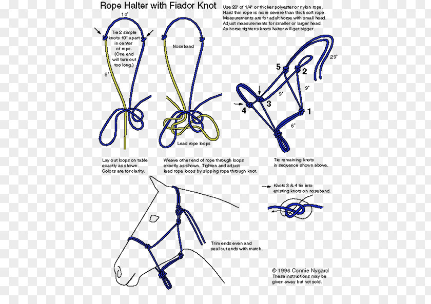 Horse Halter Fiador Knot Rope PNG