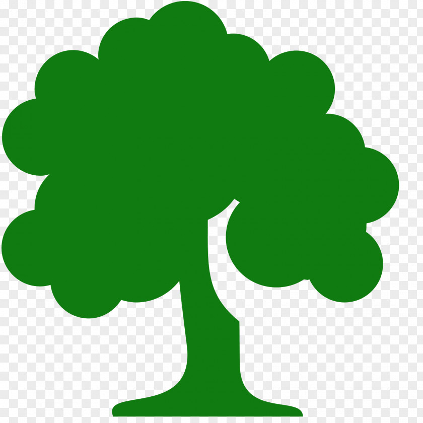 Safe Tree PNG