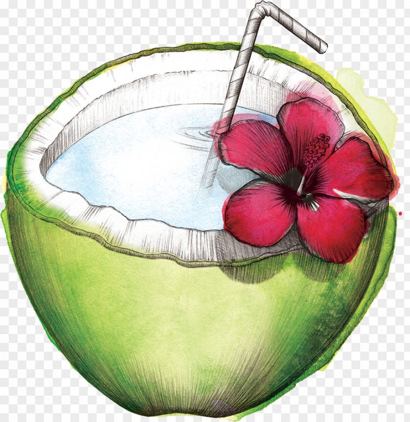 Watermelon Coconut Water Still Life Photography PNG