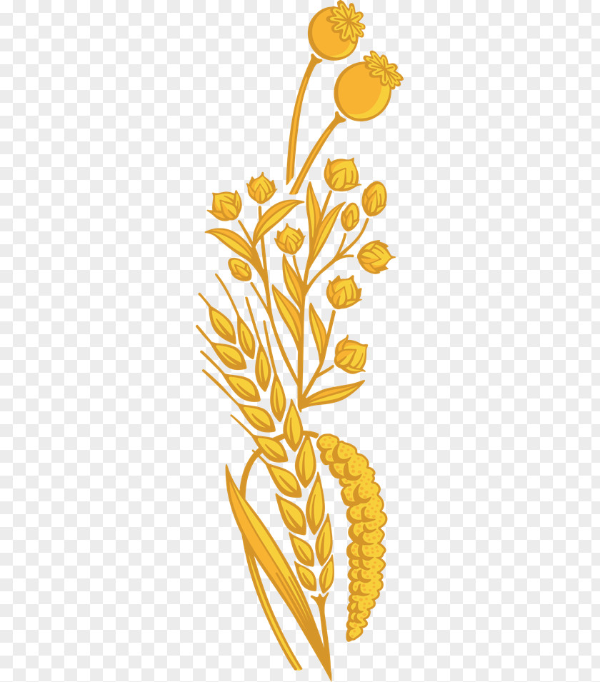 Wheat Grain Grasses Food Plant Stem Clip Art PNG