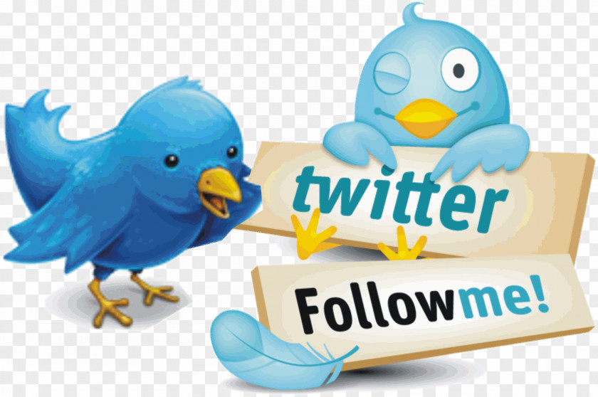 Twitter Image Graphics Photograph Like Button PNG