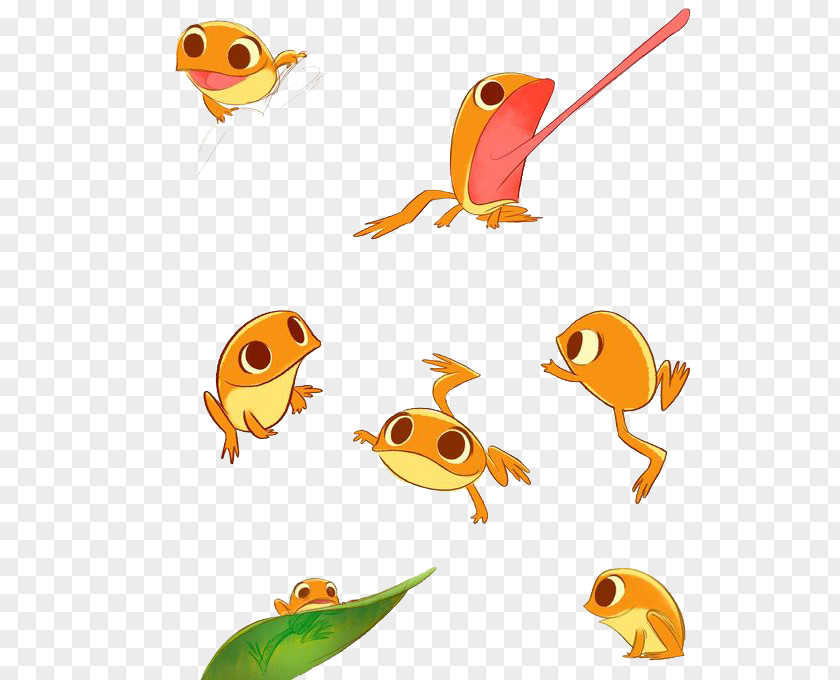 Yellow Frog Drawing Illustration PNG
