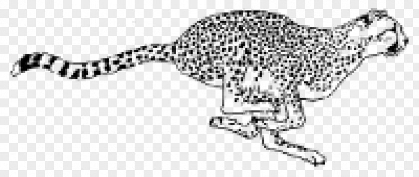 Cat Big Cheetah Mammal Animal PNG