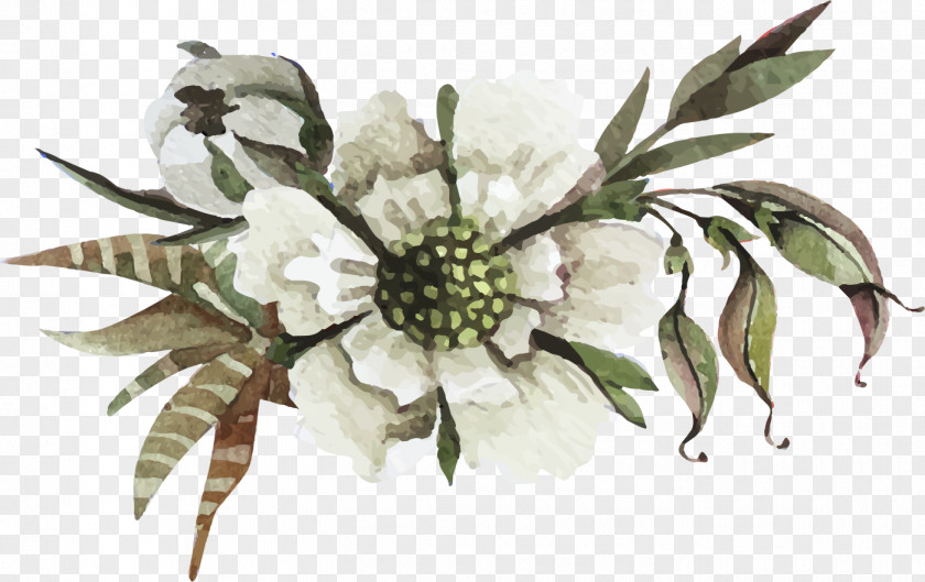 Flowers PNG