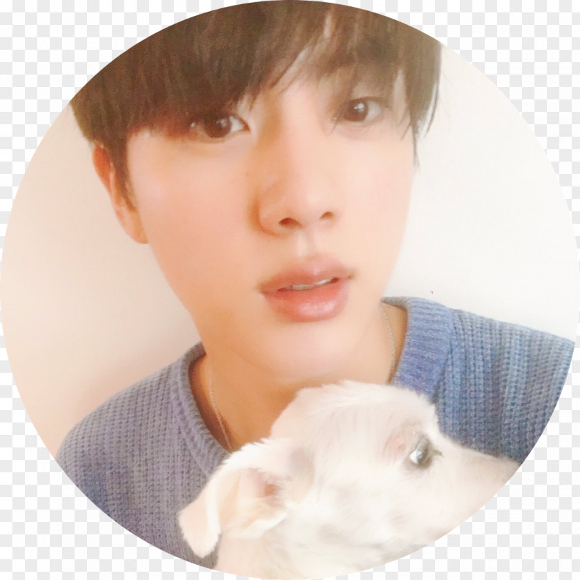 JIN BTS Jin Dog კიმ სოკ-ჯინი PNG