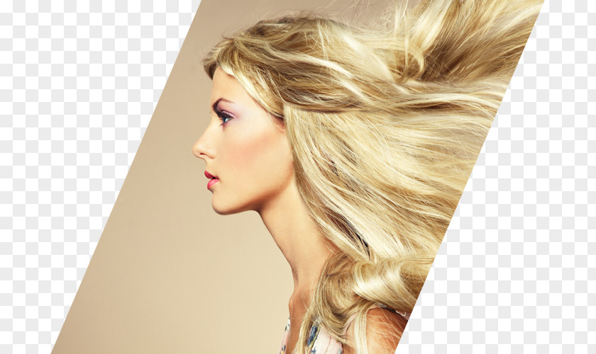 Hair Hairstyle Beauty Parlour Care Hairdresser PNG
